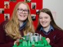 Great Lego Build-off 2017